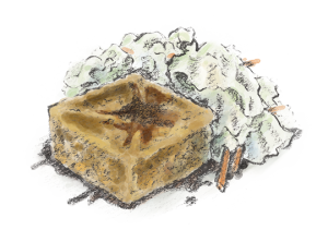 一塊臭豆腐，泡菜多一點